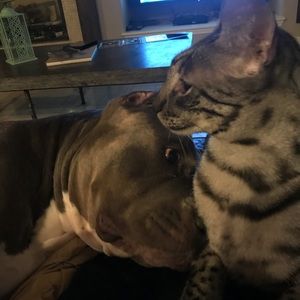 Meet your Posher, Misty